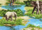 Elephants - Elephant Print, Scenic